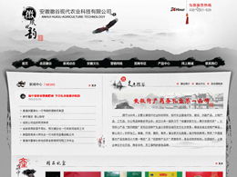 藝創(chuàng)網(wǎng)絡 打造專業(yè)產品展示類網(wǎng)站，助力企業(yè)營銷升級