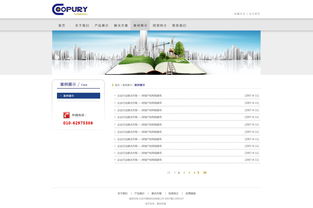 北京網(wǎng)站建設 原創(chuàng)先鋒，案例引領未來